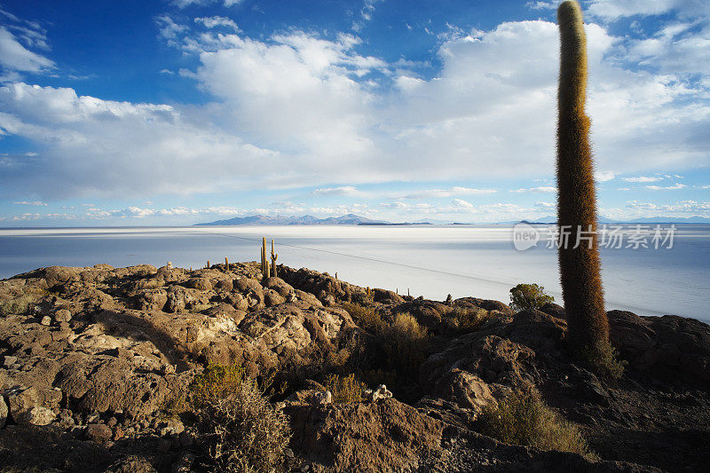 玻利维亚乌尤尼的Salar de Uyuni